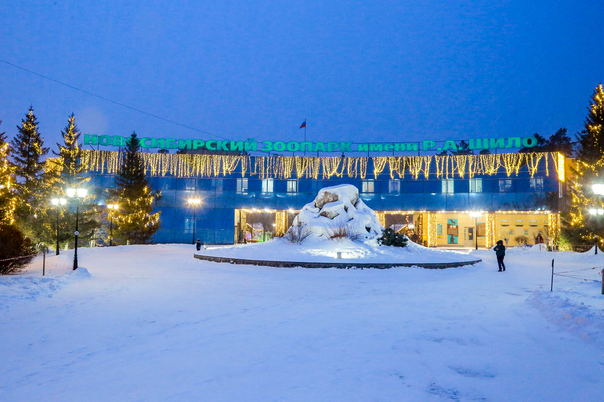 Песцы и канадские волки из Новосибирского зоопарка переехали в Индию