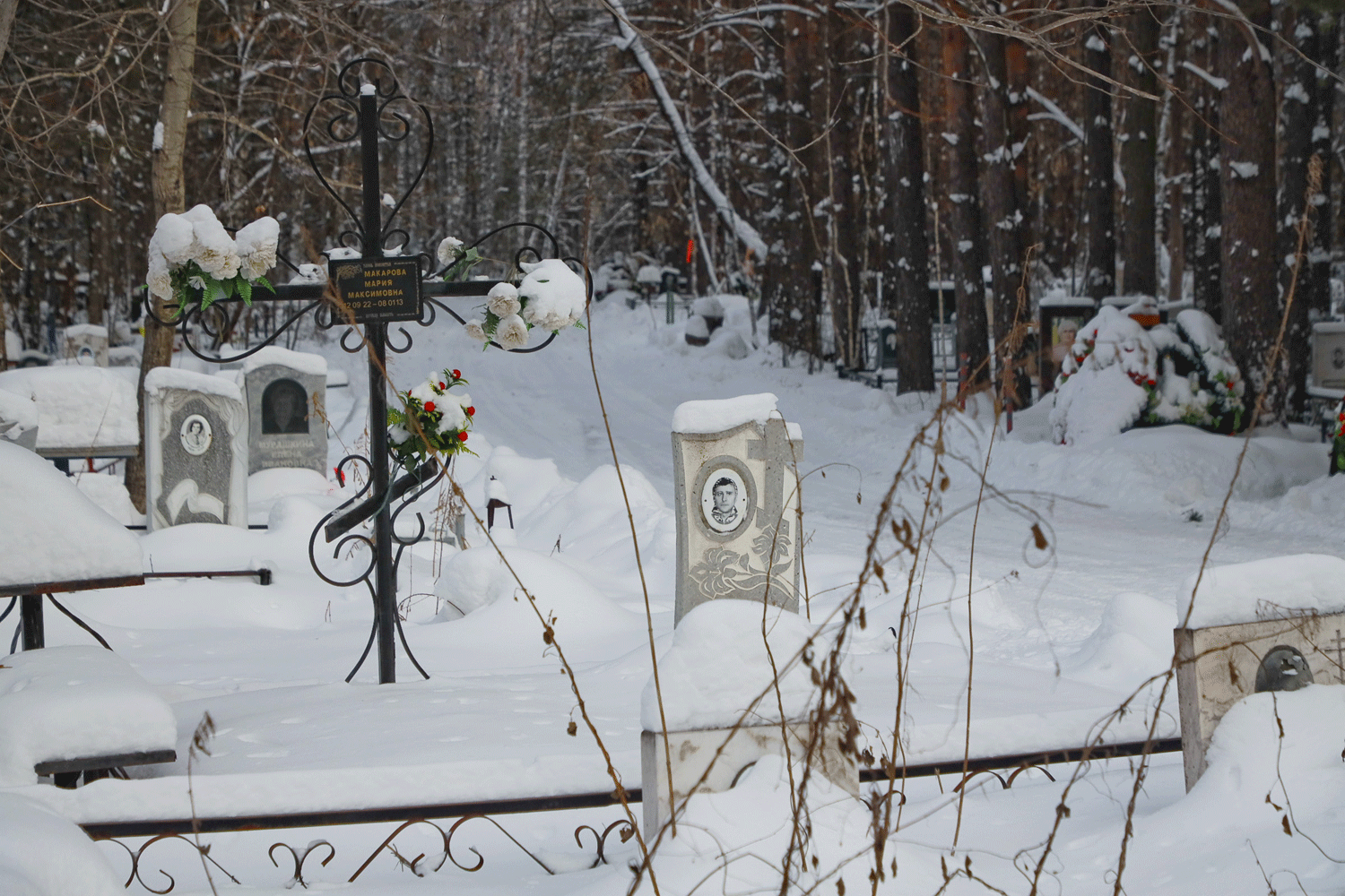 В сети чёрных ритуальных агентов попадают 60% новосибирцев