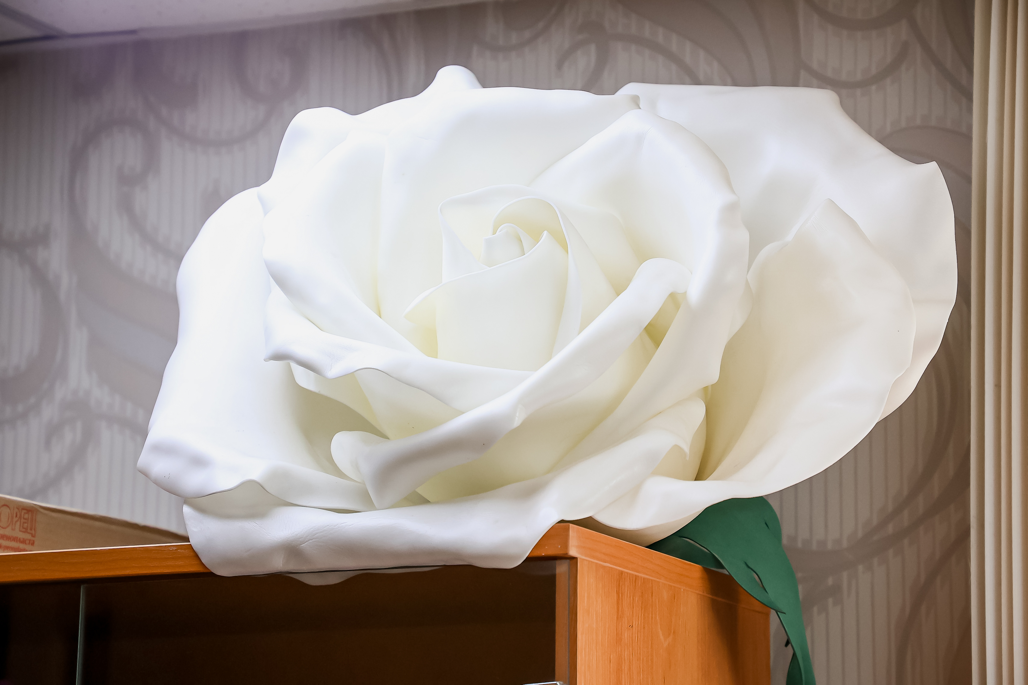 Если вы пропустили: мегацветы, оранжевый троллейбус и платья принцесс