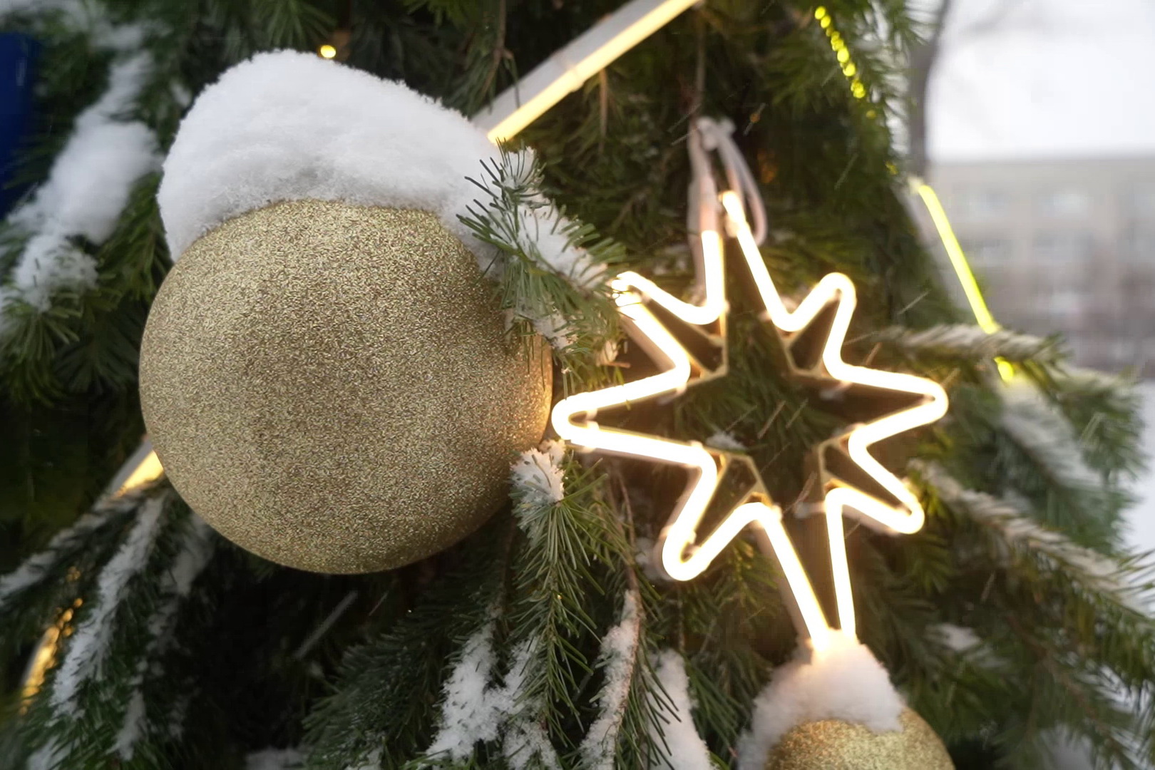 Где погулять в старый Новый год: обзор локаций в Новосибирске