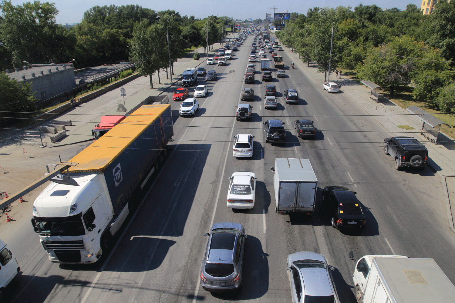 241 дерево высадят на улице Большевистской в Новосибирске