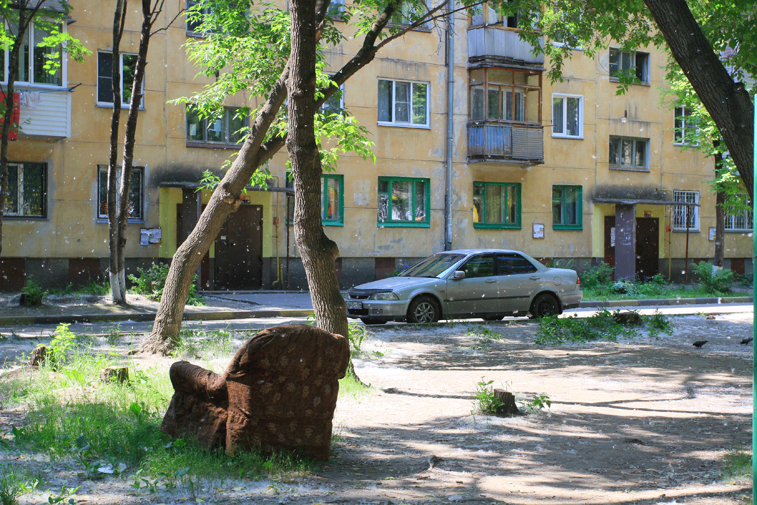 Советское наследие: как в Новосибирске борются с тополиным пухом