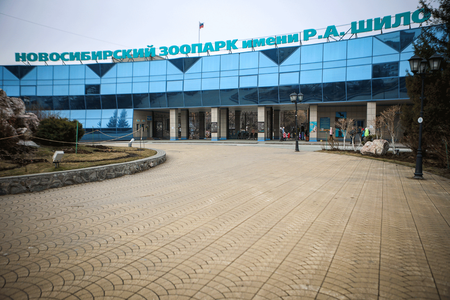 В Новосибирский зоопарк впервые прилетел желтоголовый дятел