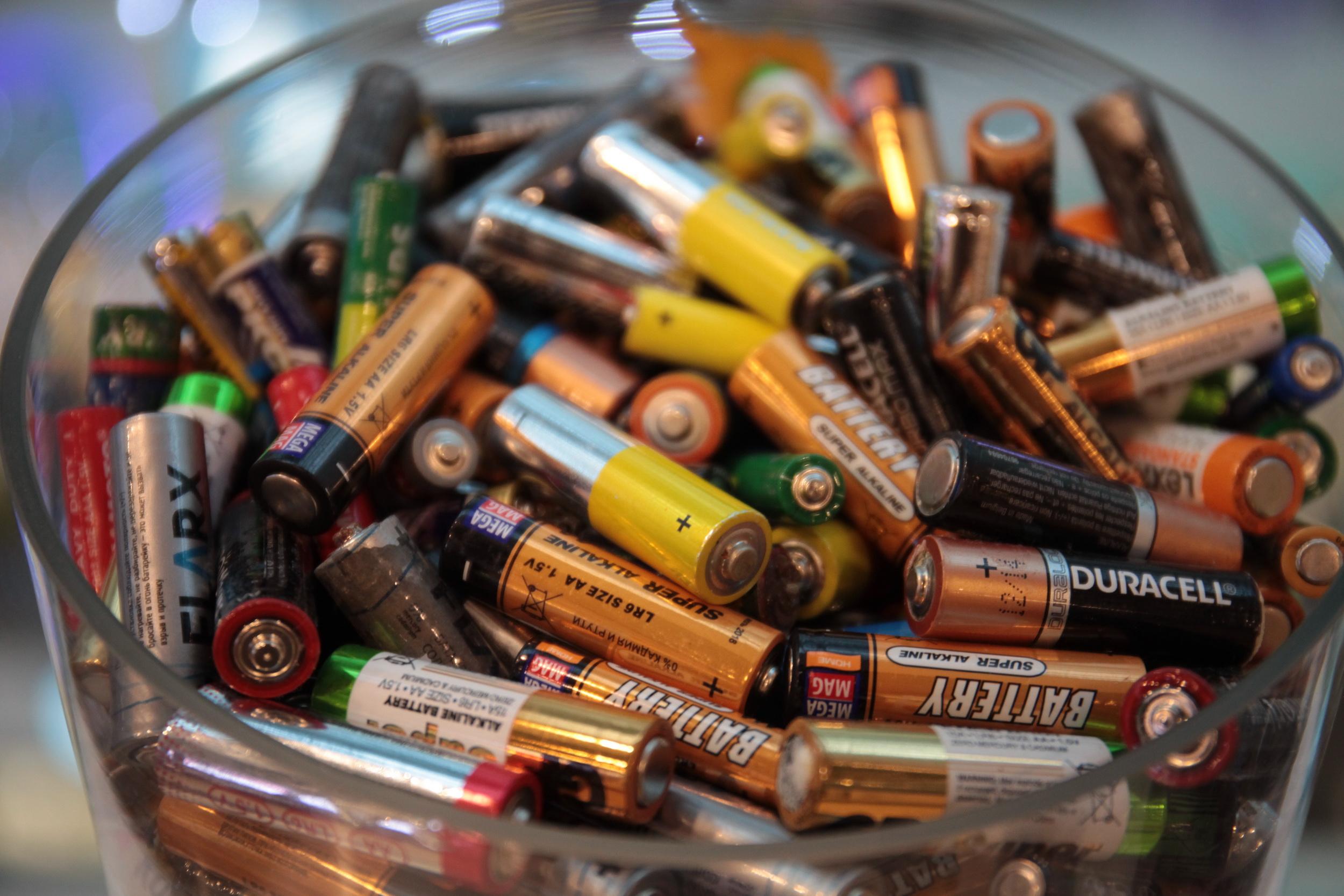 Сортировка мусора для «чайников»: объясняем, с чего начать