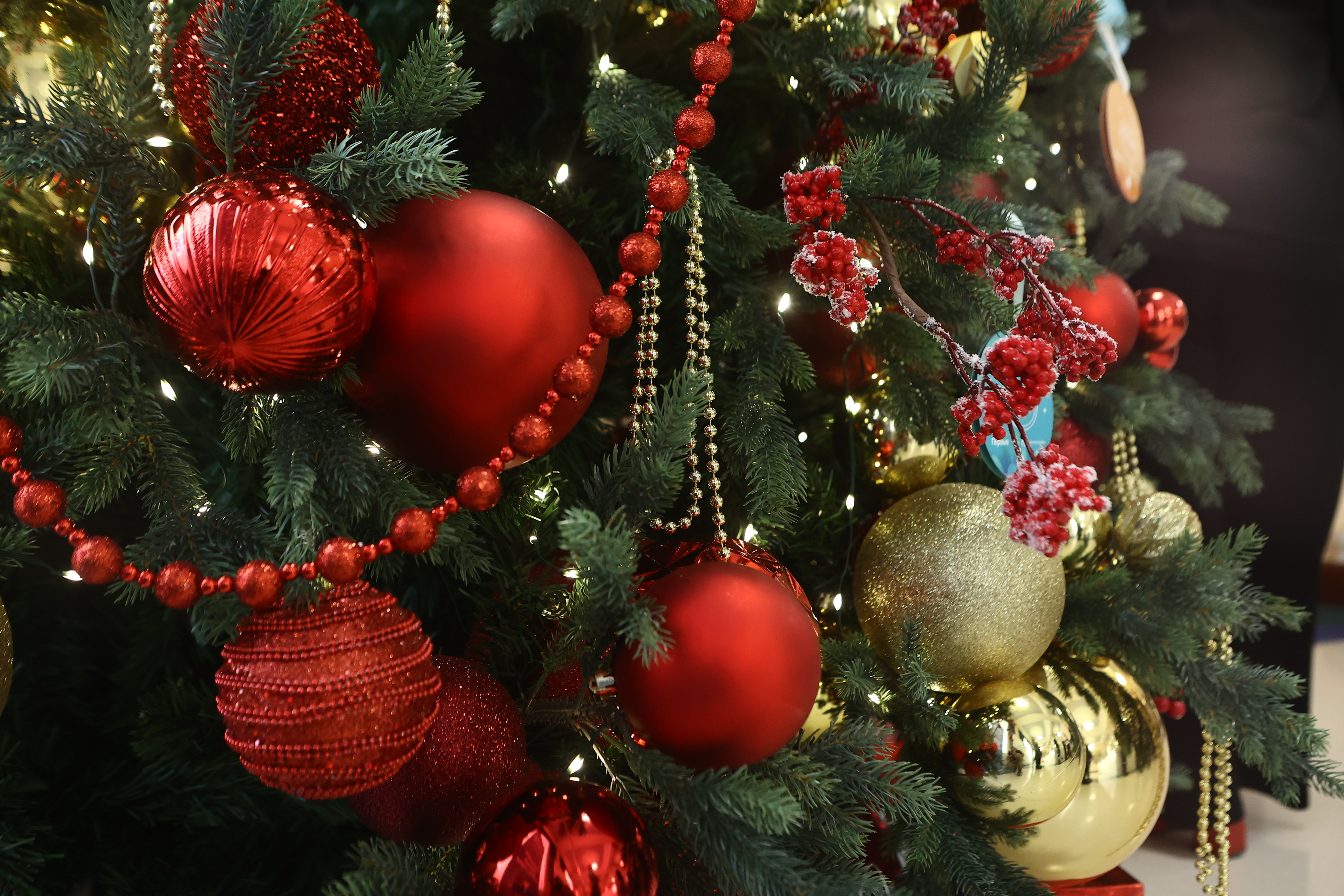 Как утилизировать новогоднюю ёлку