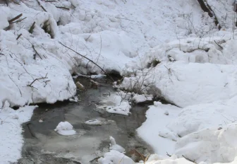 Мэр Кудрявцев поручил подготовиться к раннему паводку в Новосибирске