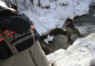 За уровнем рек круглосуточно следят в Новосибирске