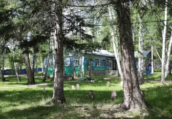 Список легальных летних лагерей обнародовали в Новосибирской области