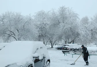 О неожиданной пользе снегопадов рассказали в новосибирском минспорта