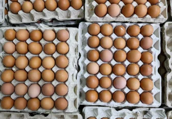 Шесть птицефабрик подписали соглашение о сдерживании цен на яйца