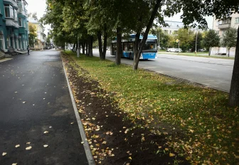 400 новых деревьев и кустарников украсили Калининский район Новосибирска