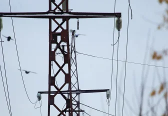 Линию электропередачи для крупного сырзавода строят под Новосибирском