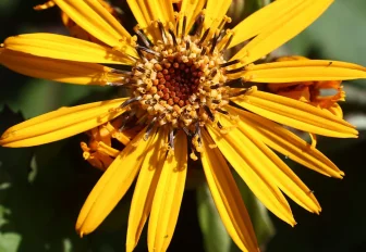 Островок радости: как активисты преобразили детскую площадку на Гоголя