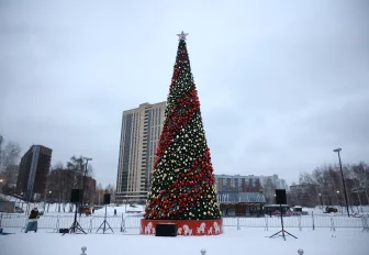 Новогодняя ёлка в Бугаков-парке поборется за звание лучшей в России