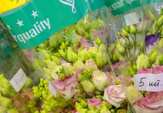 Импортные розы и хризантемы завезли в Новосибирск ко Дню знаний