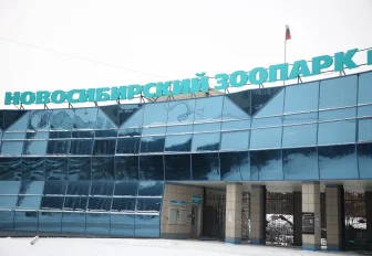 Песцы и канадские волки из Новосибирского зоопарка переехали в Индию