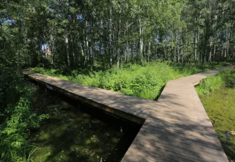 Мэр Кудрявцев сообщил, в каких парках и скверах начнётся благоустройство