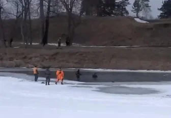 Пропавшего в Маслянино девятилетнего ребёнка ищут водолазы