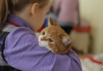 Как аккуратно жить с питомцем в съёмной квартире: советы новосибирцам