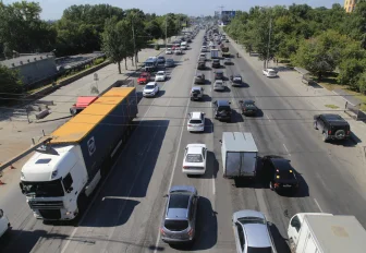 241 дерево высадят на улице Большевистской в Новосибирске