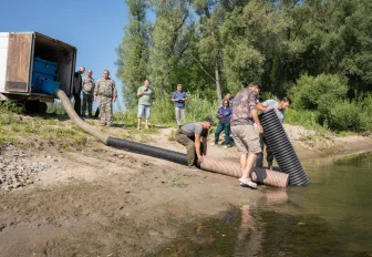 2 тысячи мальков краснокнижной нельмы выпустили в Обь под Новосибирском