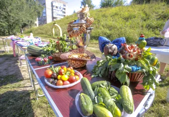 Размеры грантов ТОСам увеличили до 1,5 млн рублей в Новосибирске