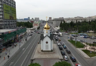 Горзеленхоз задумал обновить площадку с аистами в центре Новосибирска