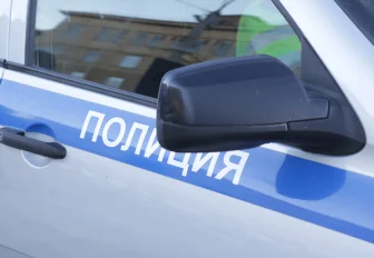 Томич натравил метиса питбуля на прохожего в Новосибирске