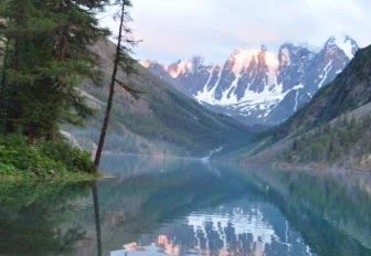 Что делать, если вы заблудились в лесу