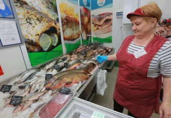 Соцярмарка на Петухова в Новосибирске в 2026 году откроется 6 января