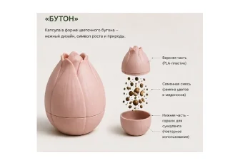 Новосибирская аспирантка создала «солонку» для озеленения городов