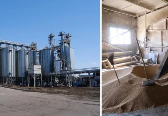 Новосибирская область накормит гречкой Германию и США