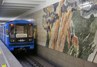 В предгорьях Алтая нашли человека с мозаики новосибирского метро