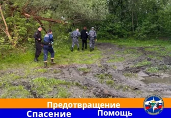 15-летний парень упал с перил моста на разъезде Иня в Новосибирске