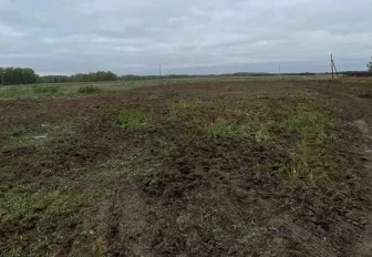 Девять незаконных свалок уберут в 2022 году в Новосибирской области