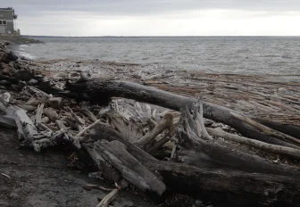 Рыбаков предупредили о повышении уровня реки Оби в Новосибирске