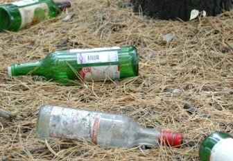 Жить экологично: пять способов перестать вредить планете