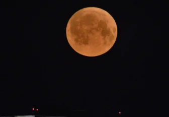 Луна закроет Плеяды: редкое явление увидят сибиряки в Новый год