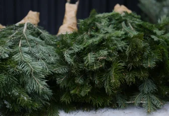 Мэр Кудрявцев рассказал, где откроют ёлочные базары в Новосибирске