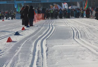 Трассы проложили в Академгородке для массовой гонки «Лыжня России»