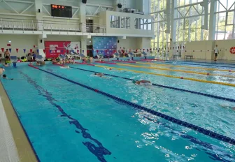 Юных пловцов из Новосибирска исследовали на шанс стать чемпионами