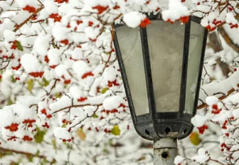 Губернатор Травников призвал лучше следить за состоянием новых парков