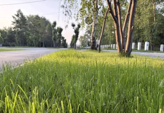 Мэр Кудрявцев: Первомайский район отчитался об итогах года