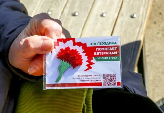 Акция «Красная гвоздика» стартует с 10 апреля в Новосибирске