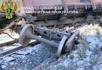 Четыре грузовых полувагона сошли с рельс в Новосибирской области