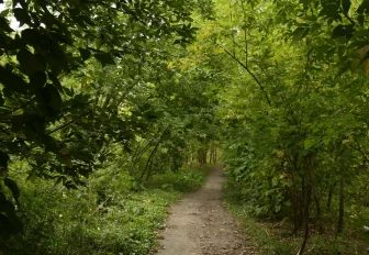Парк на таинственной Каменке: причём здесь мельница и кирпичный завод