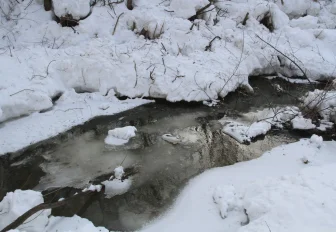Талые воды подтопили 21 приусадебный участок в Новосибирской области