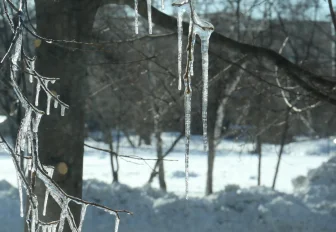 До +3 градусов потеплеет в День защитника Отечества в Новосибирске