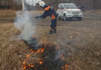 249 штрафов выписали жителям Новосибирской области за костры в огородах