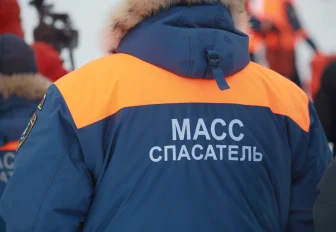 «Ужасная картина»: новосибирцы с колясками гуляют по льду Оби